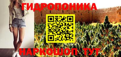 каннабис Аргун