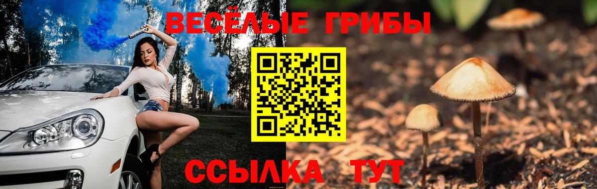 Псилоцибиновые грибы Psilocybe  Вход с VPN  Псилоцибиновые грибы прущие грибы  купить наркотики цена  Балашиха 